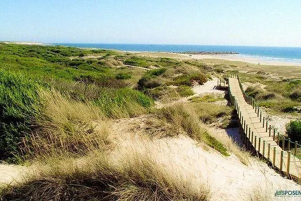 Quinta Do Sobreiro * فيلا فيرد